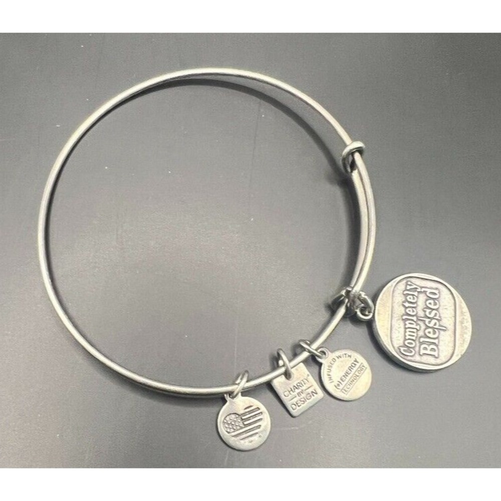 Alex and Ani Silver Bangle Bracelet Completely Blessed‎ Energy Charms Adjustable